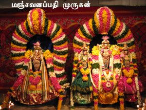 manchavanapathi murugan